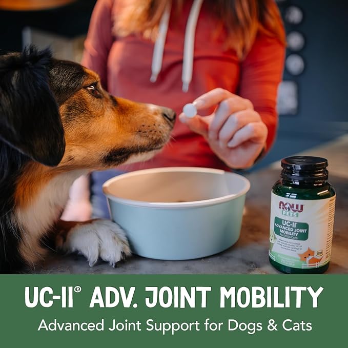 NOW Pets, UC-II® Advanced Joint Mobility for Dogs and Cats, Veterinarian formulated, Help Maintain Cartilage and Connective Tissue*, 60 Chewable Tablets (60 Grams)