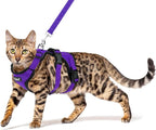 PUPTECK Cat Harness and Leash Set Escape Proof for Walking, Breathable Mash Vest Adjustable Harness for Cats Puppy Small Animals, Reflective at Night, Purple Small