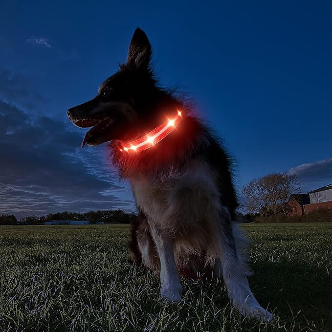MASBRILL RGB Lighted Dog Collar - Flashing LED, Night Walking, Water-Resistant, Rechargeable for Small to Large Dogs
