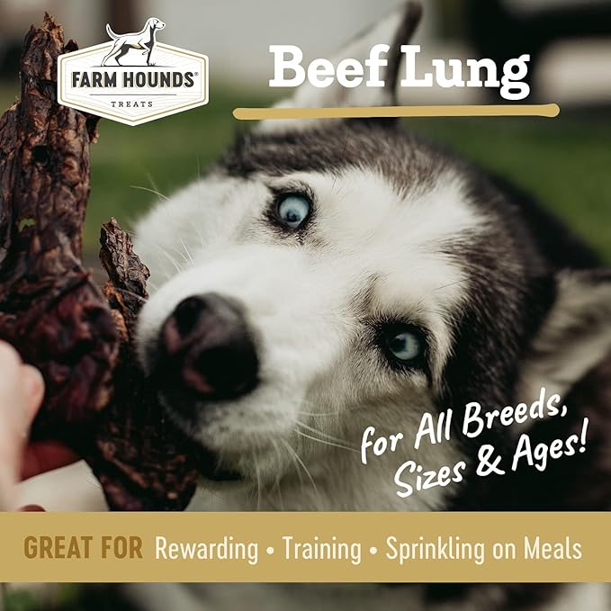 Farm Hounds - Beef Lung - Premium Natural Beef Lung Jerky for Dogs - Made from 100% Humanely Raised Cattle - Organ Treat - Great for Training & Treats - No Added Fillers - Made in USA - 2 oz - 1 Pack