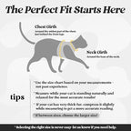 rabbitgoo Cat Harness and Leash Set for Walking Escape Proof, Adjustable Soft Kittens Vest with Reflective Strip for Cats, Comfortable Outdoor Vest, Black, S