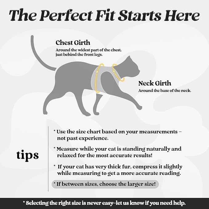 rabbitgoo Cat Harness and Leash Set for Walking Escape Proof, Adjustable Soft Kittens Vest with Reflective Strip for Cats, Comfortable Outdoor Vest, Black, L