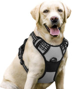rabbitgoo Dog Harness No Pull with 2 Leash Clips, Adjustable Soft Padded, Reflective Oxford No Choke Pet Vest with Easy Control Handle for Large Dogs, Grey, L