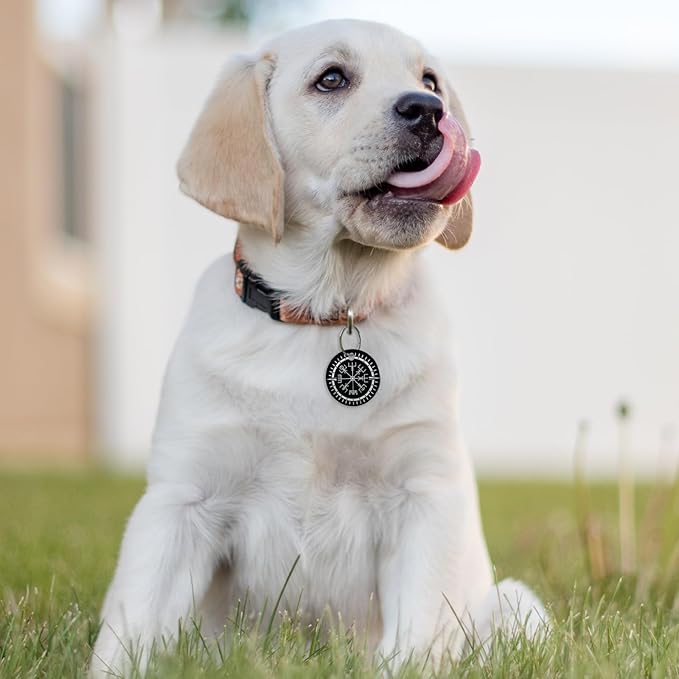 MYLUCKYTAG QR Code Dog ID Tag - Online Pet Profile, Location Alert, Digital ID, Durable Chengfered Steel Pet Tag for Collar