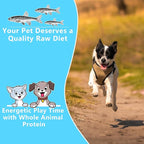 Minnows - 8.5 oz Freeze Dried - 100% Natural Premium Cat & Dog Treat