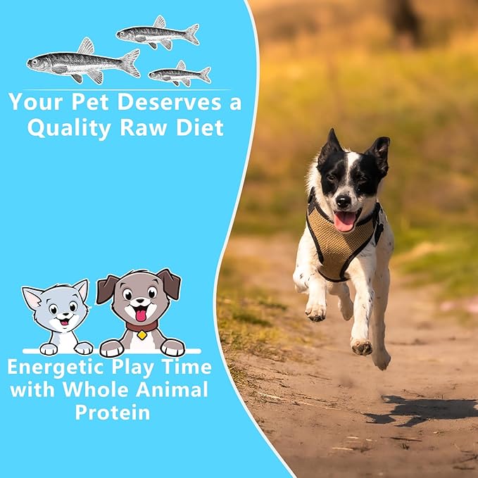 Minnows - 8.5 oz Freeze Dried - 100% Natural Premium Cat & Dog Treat