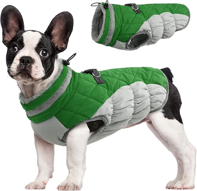 FUAMEY Dog Coat for Small Dogs,Waterproof Dog Winter Jacket with Harness Built in Puppy Cold Weather Coats Reflective Pet Vest with Zipper Warm Fleece Dogs Snowsuit Windproof Green S
