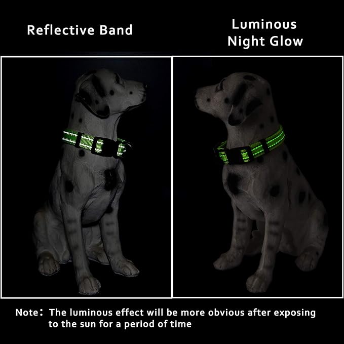 Mile High Life Nylon Night Light Glow Collar, Reflective Light Up Dog Collar, Fluorescent Self-Luminescent Strap for Small Medium Large Dogs (Lime, M Neck13-17")
