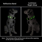 Mile High Life Nylon Night Light Glow Collar, Reflective Light Up Dog Collar, Fluorescent Self-Luminescent Strap for Small Medium Large Dogs (Lime, M Neck13-17")