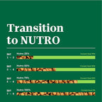 Nutro Natural Choice Adult Dry Dog Food, Chicken and Brown Rice Recipe, 13 lbs.