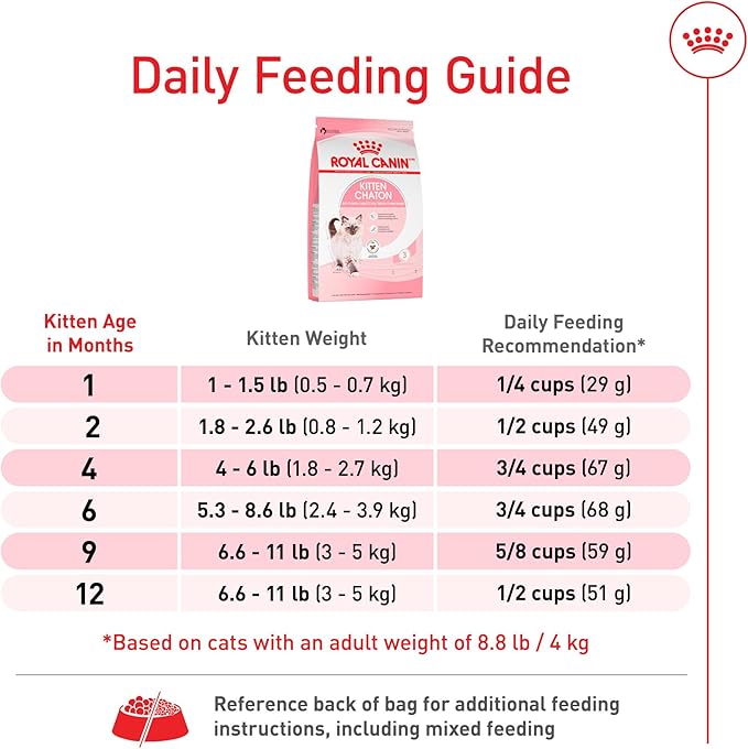 Royal Canin Feline Health Nutrition Dry Kitten Food, Supports Digestive Health, Immune Support and Healthy Energy, 3 lb Bag
