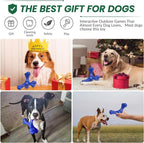 Dog Chew Toys for Aggressive Chewers Large Breed,Indestructible Bones Toy，Durable Cleaning Toothbrush Natural Rubber Dog Toys… (Deep Blue)