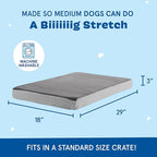 Barkbox Orthopedic Dog Bed with Memory Foam, Premium Comfort for Dogs and Puppies, Dog Beds for Joint Relief and Restful Sleep, Durable and Easy to Clean - Grey, Medium