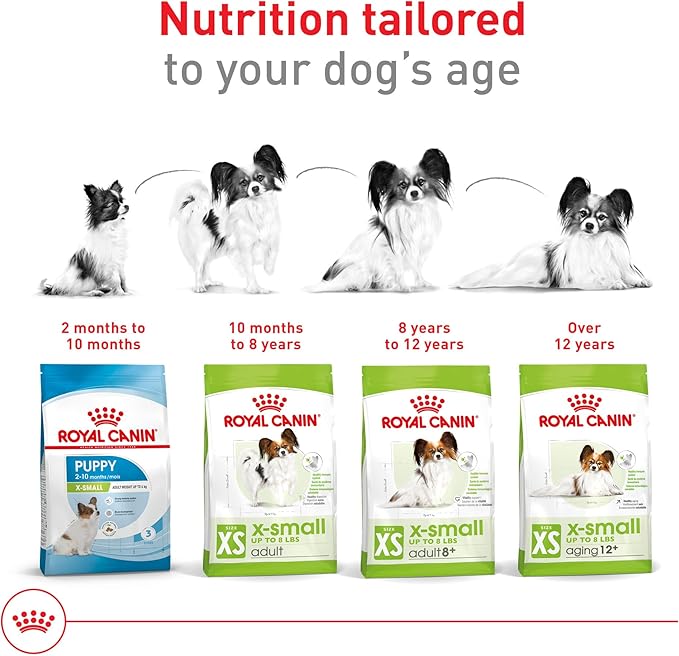 Royal Canin Size Health Nutrition X-Small 7+ Adult Dry Dog Food, 2.5 lb Bag