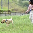 Hyhug Martingale Collar for Dogs Large Blue |Escape - Proof Heavy Duty Nylon Durable No Pull, Ideal for Training & Daily Walks