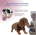 Automatic Dog & Cat Food Feeder with Water Dispenser – Smart Pet Feeder with Portion Control, OLED Display, Anti Jam Design, Battery Operated Dispenser for Small Pets - Taupe