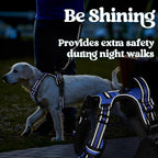 rabbitgoo Dog Harness for Large, No Pull Pet Harness with 3 Buckles, Adjustable Soft Padded Vest with Control Handle, Walking Reflective Pet Vest for Extra Large Dogs, Blue, XL