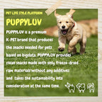 Puppyluv Treat - Freeze Dried Salmon Dog & Cat Treats, Wild Caught, Single Ingredient, Natural High Protein & Fish Oil, Grain Free Gluten Free, 3.2oz