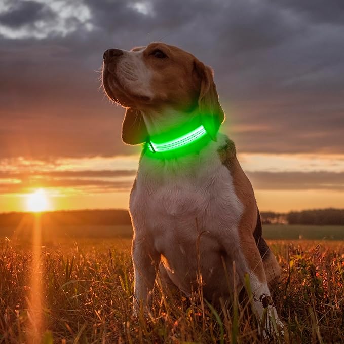 Illumifun Light Up Dog Collar, USB Rechargeable LED Dog Collar, Reflective Flash Pet Lighted Collar for Nighttime Walking (GreenⅢ, Large)