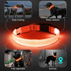 LED Dog Collar - Adjustable, Waterproof, Glow in Dark for Night Walking, Medium Large Dogs