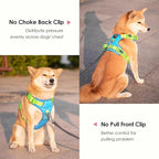 PHOEPET No Pull Dog Harness, Unique Colors Reflective Adjustable Dog Vest, with Soft Training Handle Metal Clips for Small Medium Large Dogs (Blue Base & Green Straps,L)