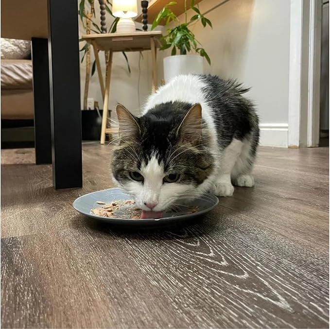 Weruva Classic Cat 11 Flavors Variety Pack – Gluten & Grain Free, 5.5 oz Cans (Pack of 24)