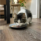 Weruva Classic Cat 11 Flavors Variety Pack – Gluten & Grain Free, 5.5 oz Cans (Pack of 24)