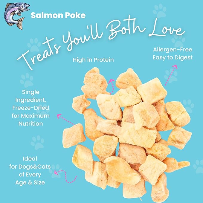 hotspot pets Freeze Dried Salmon Treats for Cats & Dogs -Made in USA-1LB Resealable Big Bag -Single Ingredient, High Protein, All Natural Grain-Free- Perfect for Training, Topper or Snack