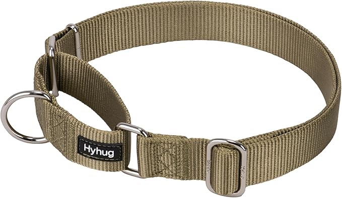 Hyhug Martingale Collar for Dogs Extra Large Green |Escape - Proof Heavy Duty Nylon Durable No Pull, Ideal for Training & Daily Walks