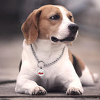 MYLUCKYTAG QR Code Dog Tags - Scan for Instant Pet Location Alert Email