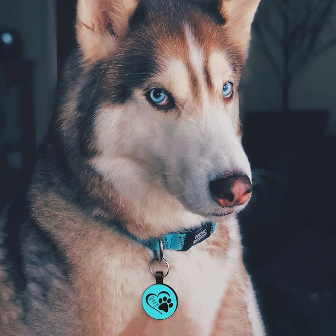 MYLUCKYTAG QR Code Silicone Dog ID Tag - Online Pet Profile, Location Alert Email, Quiet, Durable - Engraved Pet Tag for Dogs and Cats