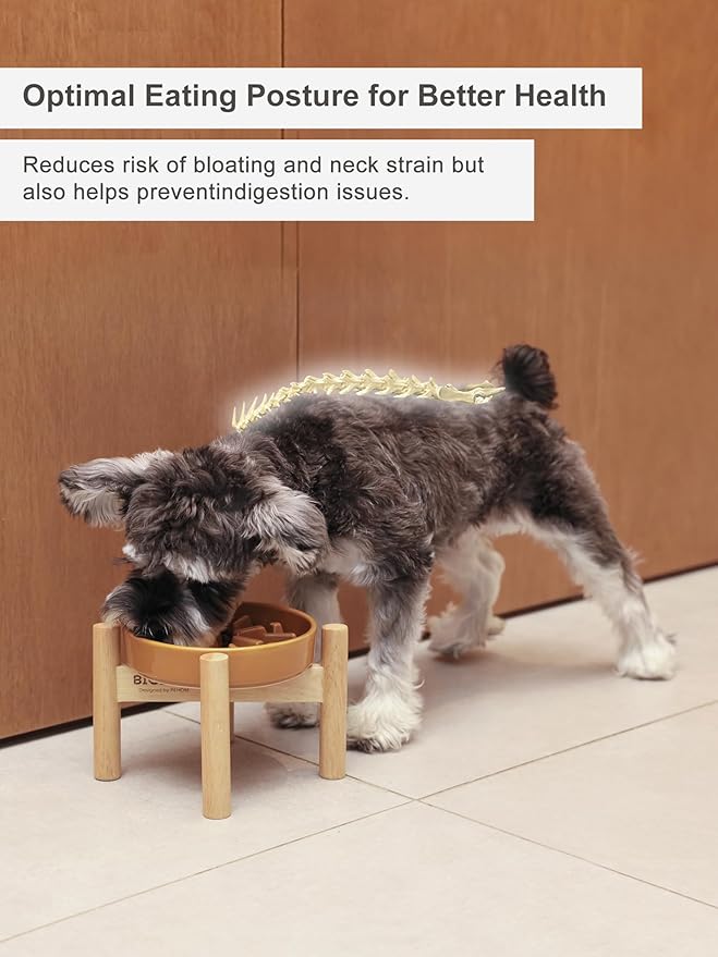 Ceramic Maze Dog Slow Feeder with Non-Slip Silicone Rim (& Bamboo Stand) – Heavy-Duty Stoneware Bowl with Puzzle Pattern for Bloating & Obesity Prevention (Raised-Apricot-S)