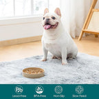 vancasso Ceramic Slow Feeder Dog Bowls, Puzzle Dog Food Bowls with Floral Maze, Anti -Slip Pet Food Dish for Small Breed, 0.6 Cups, Brown