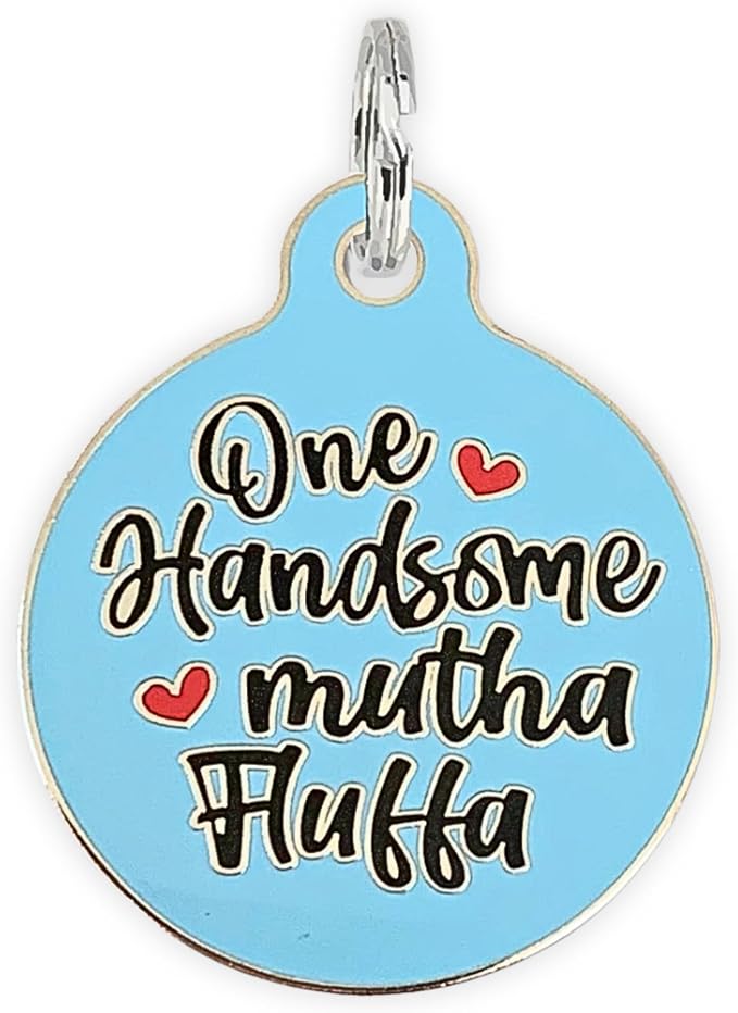 Personalized QR Code Dog Tags - Choose from 25+ Tag Designs - QR Code Links to Your Profile - Unique, Cute, Funny, Sassy Pet ID Tag (One Handsome Mutha Fluffa, Large (1.25 inch))