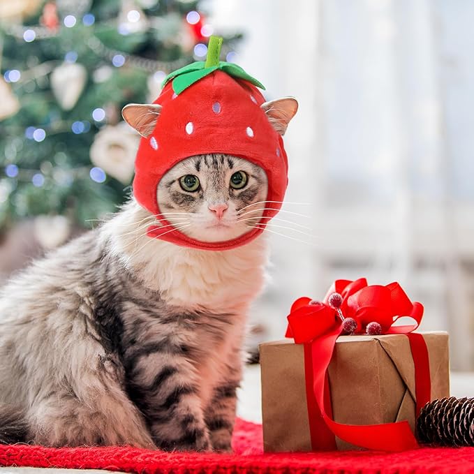 Weewooday 5 Pcs Cat Adorable Costume Bunny Hat with Ears Funny Mane Cat Hat for Pets and Small Dogs Kitten Puppy Party Costume Accessory Headwear(Avocado, Orange, Strawberry, Pineapple, Frog)