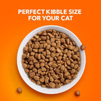 IAMS Proactive Health Indoor Weight & Hairball Care Adult Dry Cat Food with Salmon, 22 lb. Bag