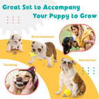 Zeaxuie 23 Pack Luxury Puppy Toys for Teething, Cute Small Dog Toys with Rubber Puppy Chew Toys, Treat Ball, Ropes and Plush Squeaky Dog Toys