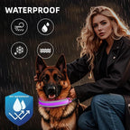 PetIsay LED Dog Collar Metal Buckle - Heavy Duty Light up Collars - Rechargeable IP68 Waterproof - Lighted Dog Collar for Night Walking, Hiking, Camping (Small, Purple)