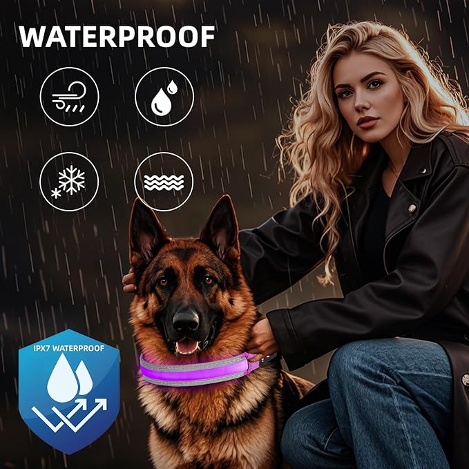 PetIsay LED Dog Collar Metal Buckle - Heavy Duty Light up Collars - Rechargeable IP68 Waterproof - Lighted Dog Collar for Night Walking, Hiking, Camping (Small, Purple)