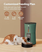 Petory Timed Automatic Cat Feeders - 4L Programable Dry Food Dispenser for Cats and Small Medium Dogs 6 Meals with Desiccant Bag Dual Power Supply 10S Voice Recorder