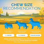 123 Treats Goat Horns for Dogs Chews 9-11 inches (2 Count - Large) 100% Natural Long Lasting chew for Dogs