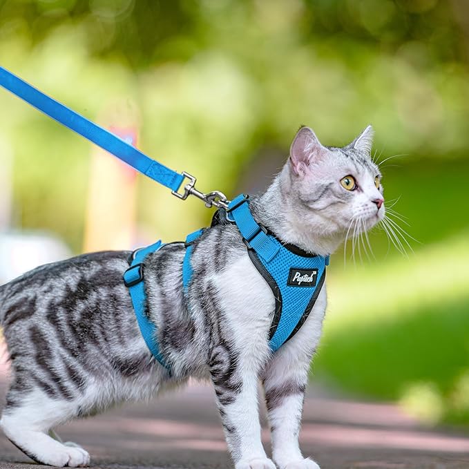 PUPTECK Cat Harness and Leash Set Escape Proof for Walking, Breathable Mash Vest Adjustable Harness for Cats Puppy Small Animals, Reflective at Night, Sky Blue Small