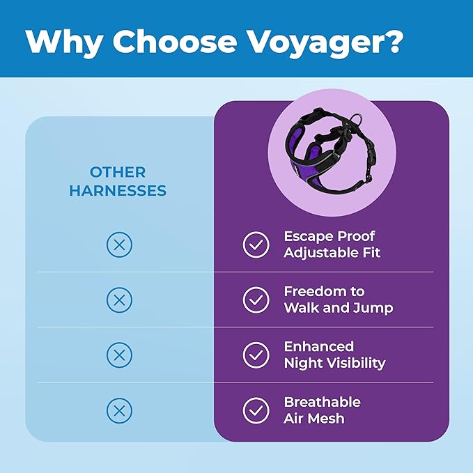 Voyager Escape-Proof Step-in Lock Cat Harness & 5ft Neoprene-Handle Leash Set All-Weather Mesh with Reflective Stitching for Small to Large Cats by Best Pet Supplies, Black Trim-Purple (327), XXS