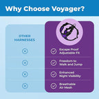 Voyager Escape-Proof Step-in Lock Cat Harness & 5ft Neoprene-Handle Leash Set All-Weather Mesh with Reflective Stitching for Small to Large Cats by Best Pet Supplies, Black Trim-Purple (327), XXXS