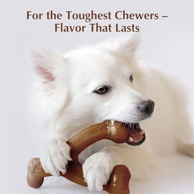 Dog Chew Toys for Aggressive Chewers (2Pcs - Real Beef & Salmon Flavored) - Durable Dog Tough Wish Bone (Upto 40 lbs.) - Indestructible Chew Toys for Dogs for Interactive Play & Dental Benefits