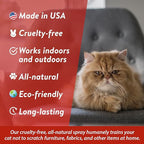 Bodhi Dog No More Scratching! Cat Deterrent Spray, Indoor & Outdoor Repellent w/Essential Oils - Safe & Effective Formula - Prevents Scratches on Furniture, Protects Surfaces - Made in USA (8 Fl Oz)