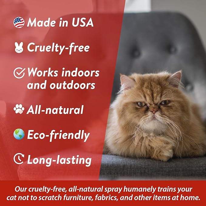 Bodhi Dog No More Scratching! Cat Deterrent Spray, Indoor & Outdoor Repellent w/Essential Oils - Safe & Effective Formula - Prevents Scratches on Furniture, Protects Surfaces - Made in USA (8 Fl Oz)