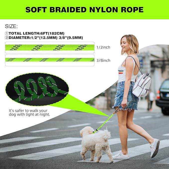 lynxking Slip Lead Dog Leash Reflective, Heavy Duty Comfortable Strong Rope Leash for Large Medium Small Dogs No Pull Training (Light Green, Small 3/8in x 6ft-Slip Lead)