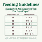 Nutro Natural Choice Adult Dry Dog Food, Beef and Brown Rice Recipe, 28 lbs.