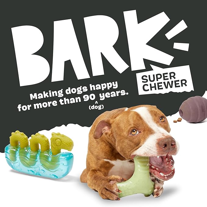 Barkbox Pumpkin Prodigy Dog Toy | Treat-Dispensing Rubber Dog Toy for Aggressive Chewers | Durable Dog Chew Toy for Medium Dogs & Puppy Essentials
